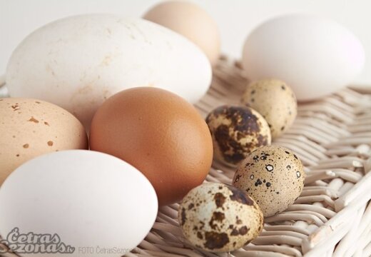 Перепелиные яйца:состав, лечение, польза