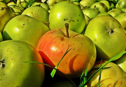 Sārts ābolītis starp zaļiem